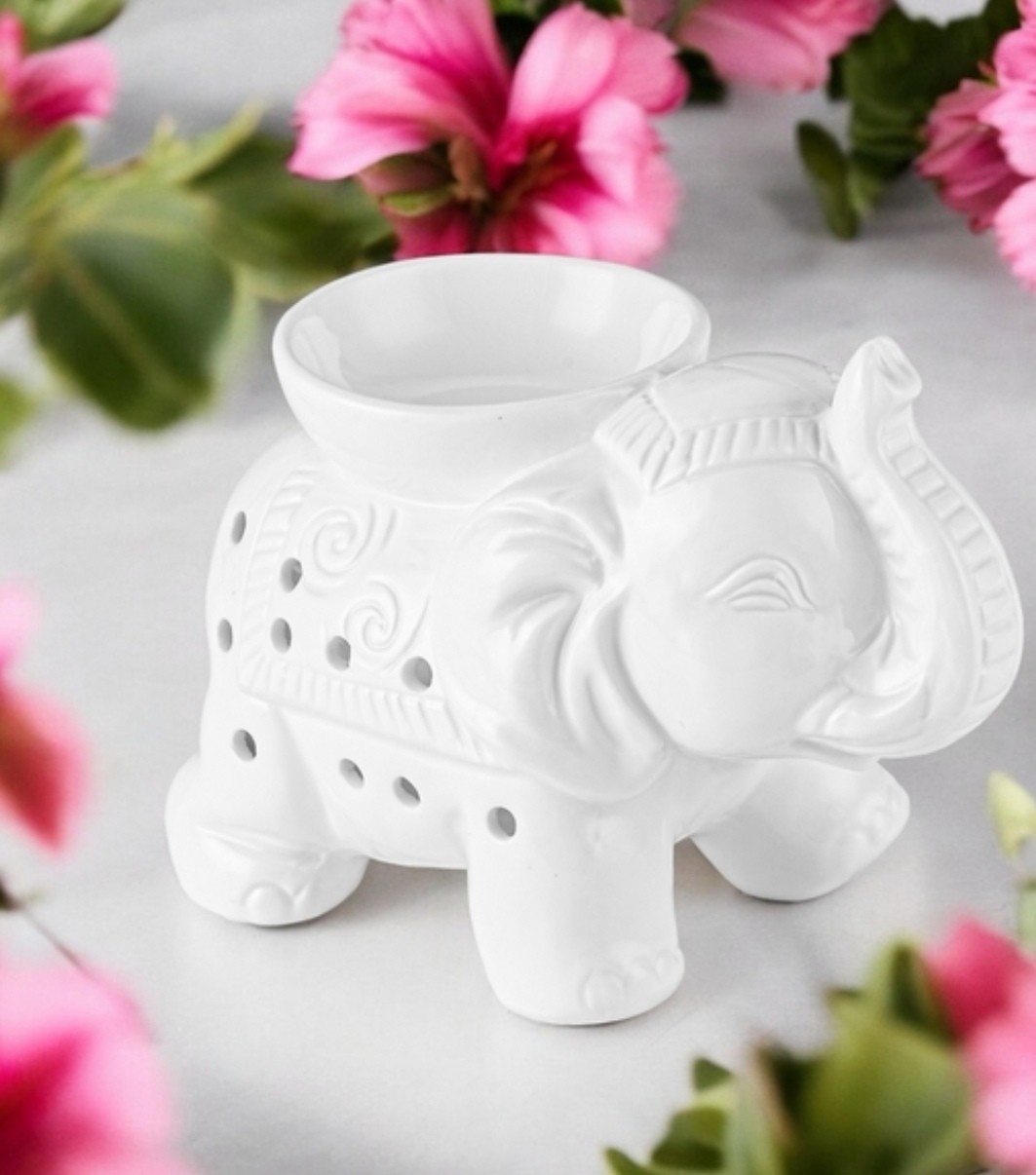 elephant blanc